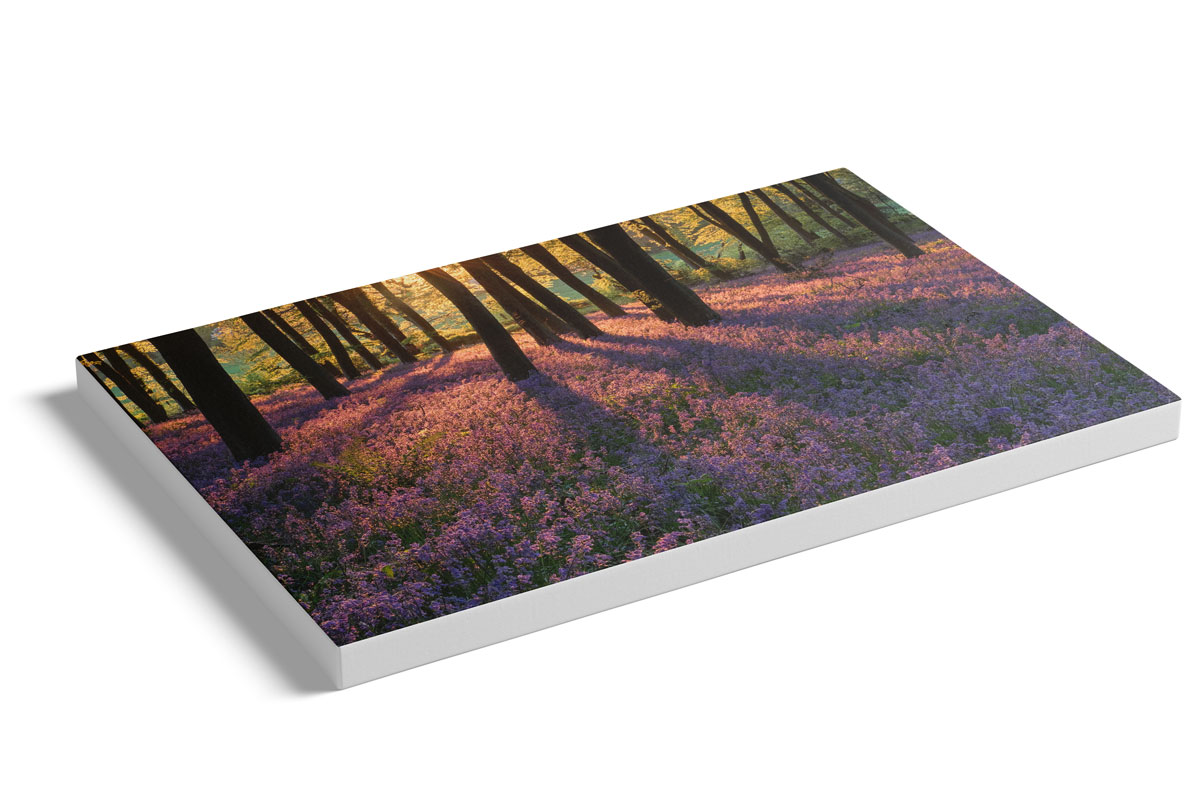 Bluebell landscape photography print on canvas