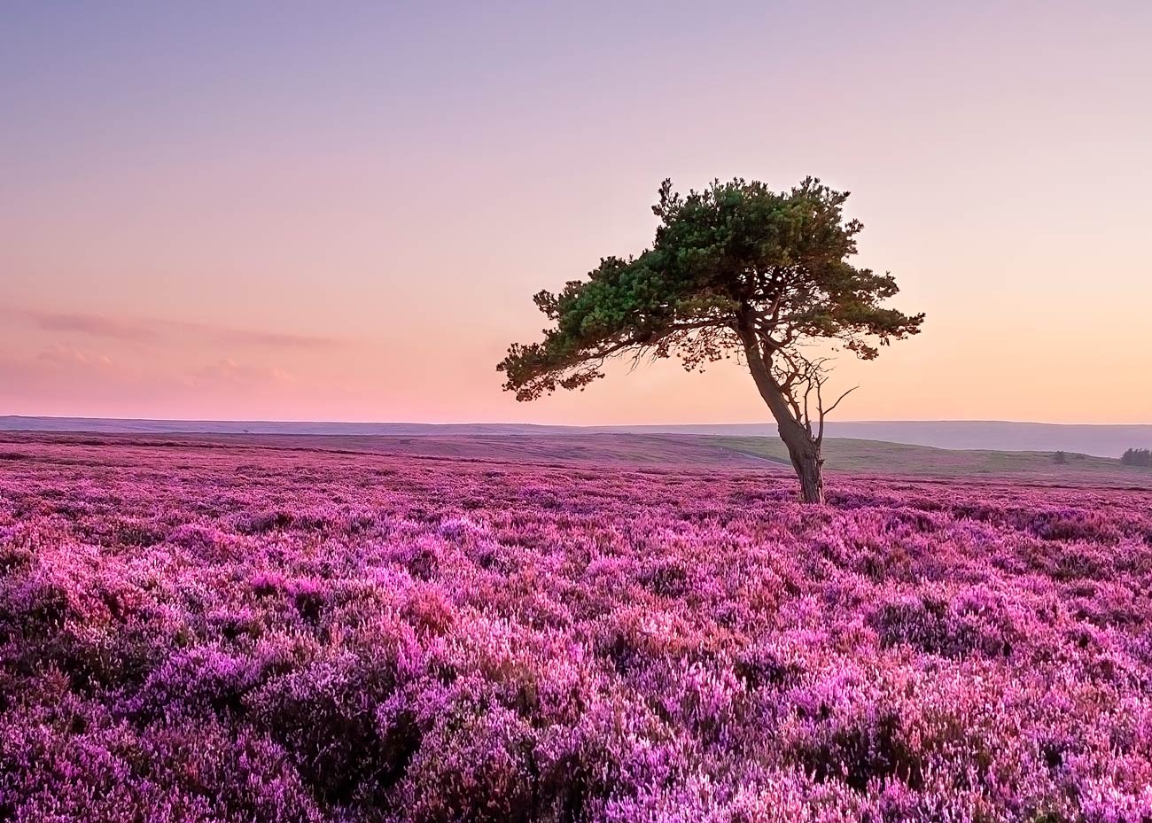landscape photography picture